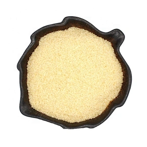 Animal Bone Skin Leaf Gelatin Sheet for candies jelly cakes pudding bakery CAS 9000-70-8